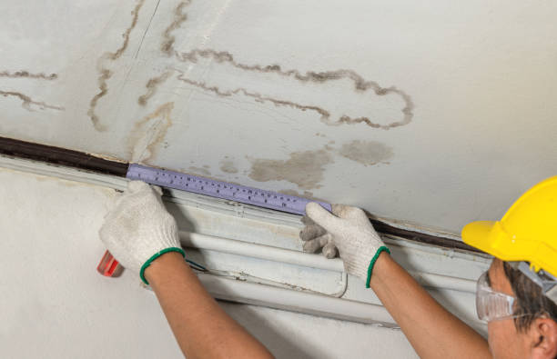 Reliable Structural Drying And Dehumidification contractor in Roseville, MI by Aqua Guard Water Damage